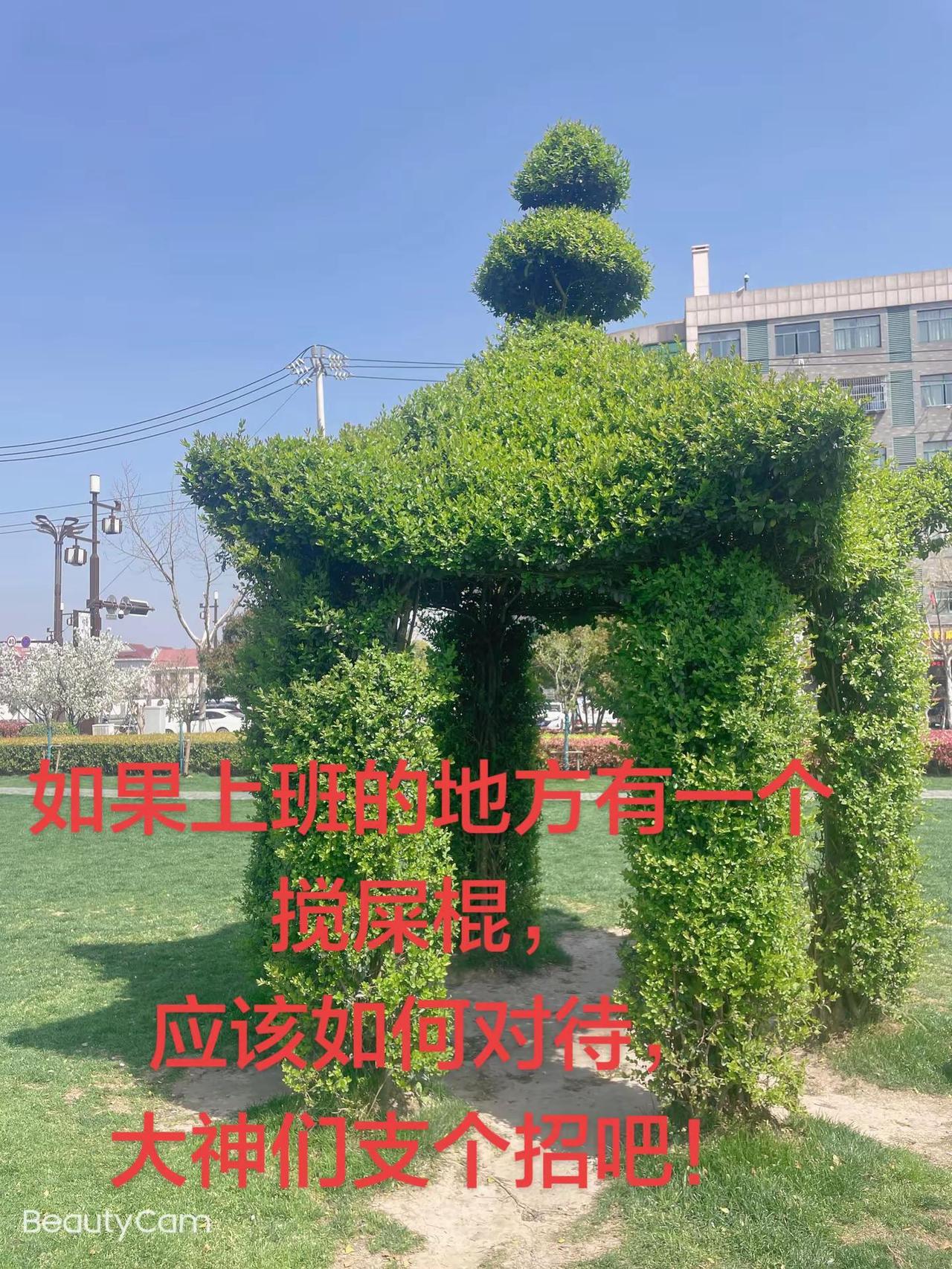 乱七八糟，被无缘无故中毒