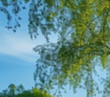 正是我此前给出的每一滴水，如今都汇成了江江江江，河河河河，湖湖湖湖，海海海海 ​