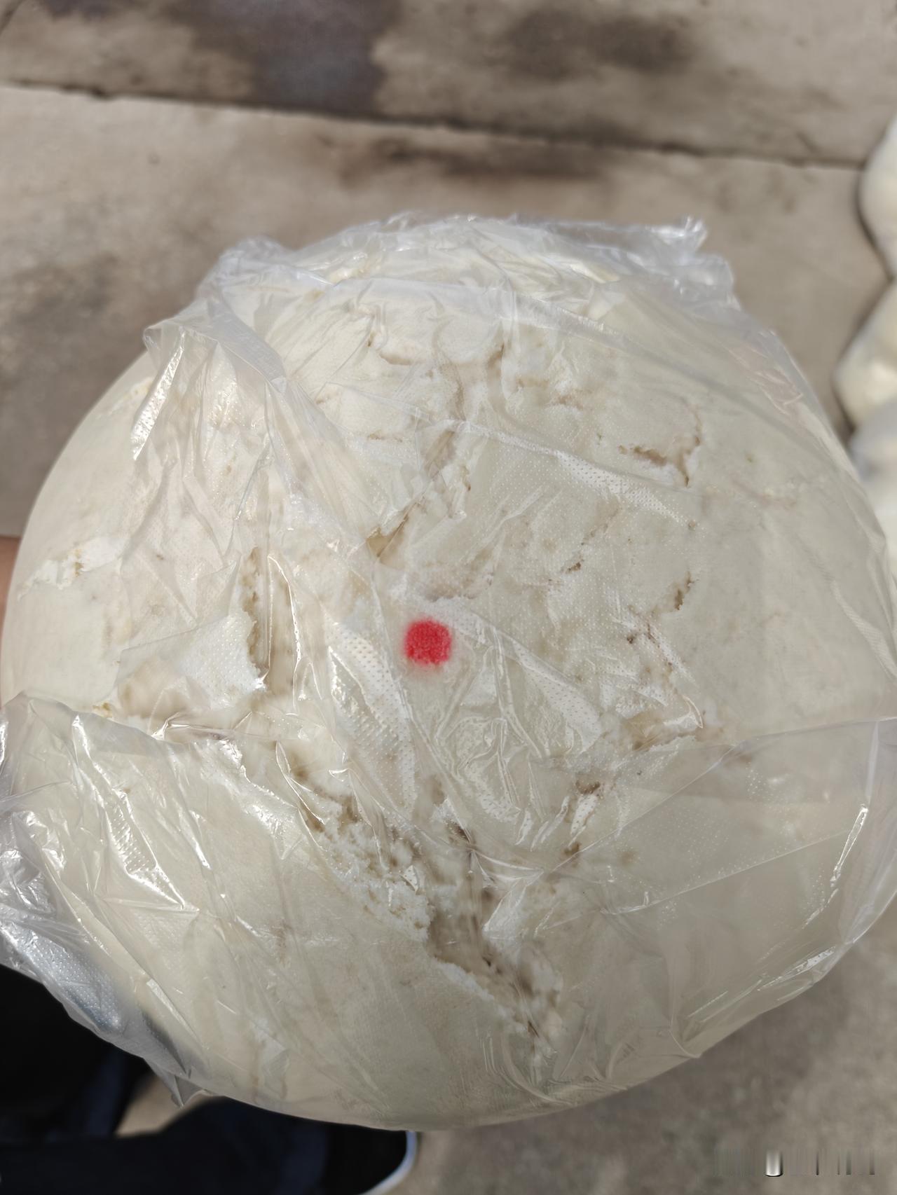 山西人做事情，好大的馍馍。这馍馍有小盆子那么大，据说这一个馍馍得二三斤白面发酵后