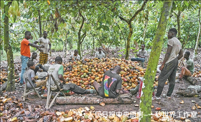 中非合作红利持续释放，西非多个国家2026年增速有望突破6%