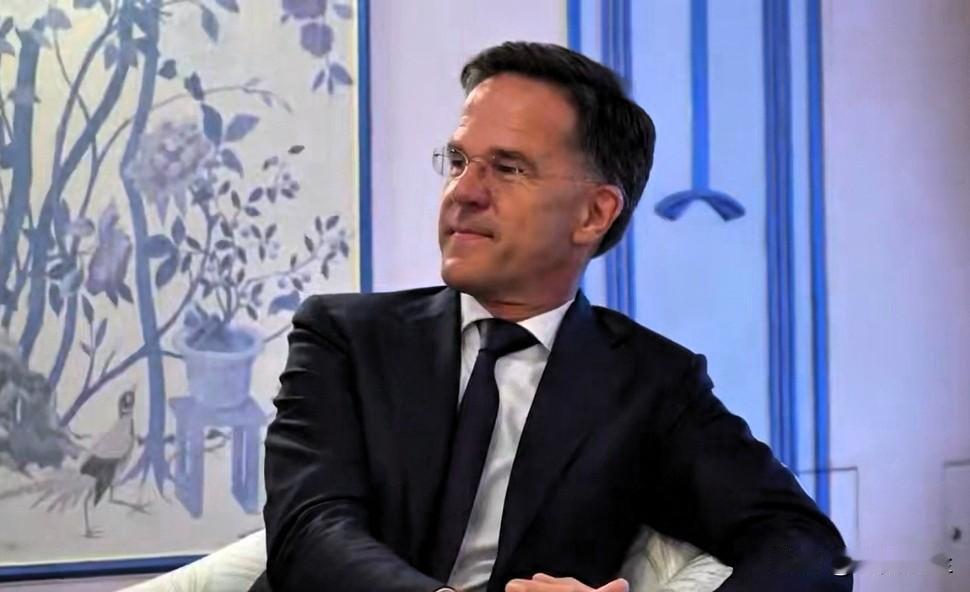 表示，北约成员国到2035年将国防开支提升至国内生产总值（GDP）的5%，这是美