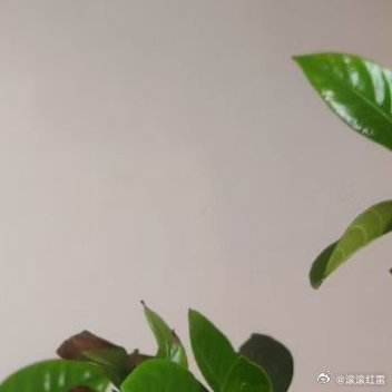 存储卡满了就清空，烦恼多了就睡觉，晚安，养精蓄锐，明天会更好