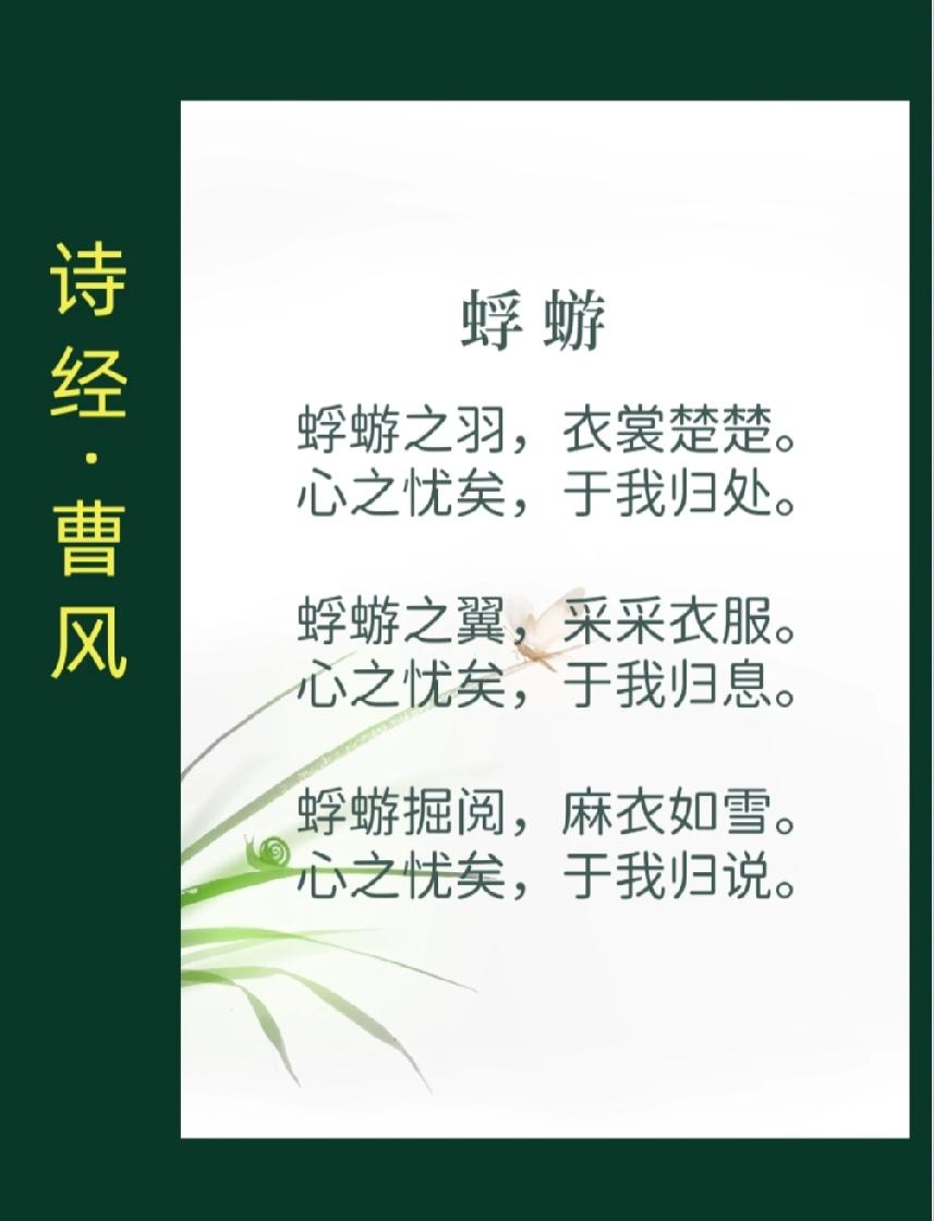 曹风·蜉蝣

《曹风·蜉蝣》是中国古代第一部诗歌总集《诗经》收录的一首诗。这是一