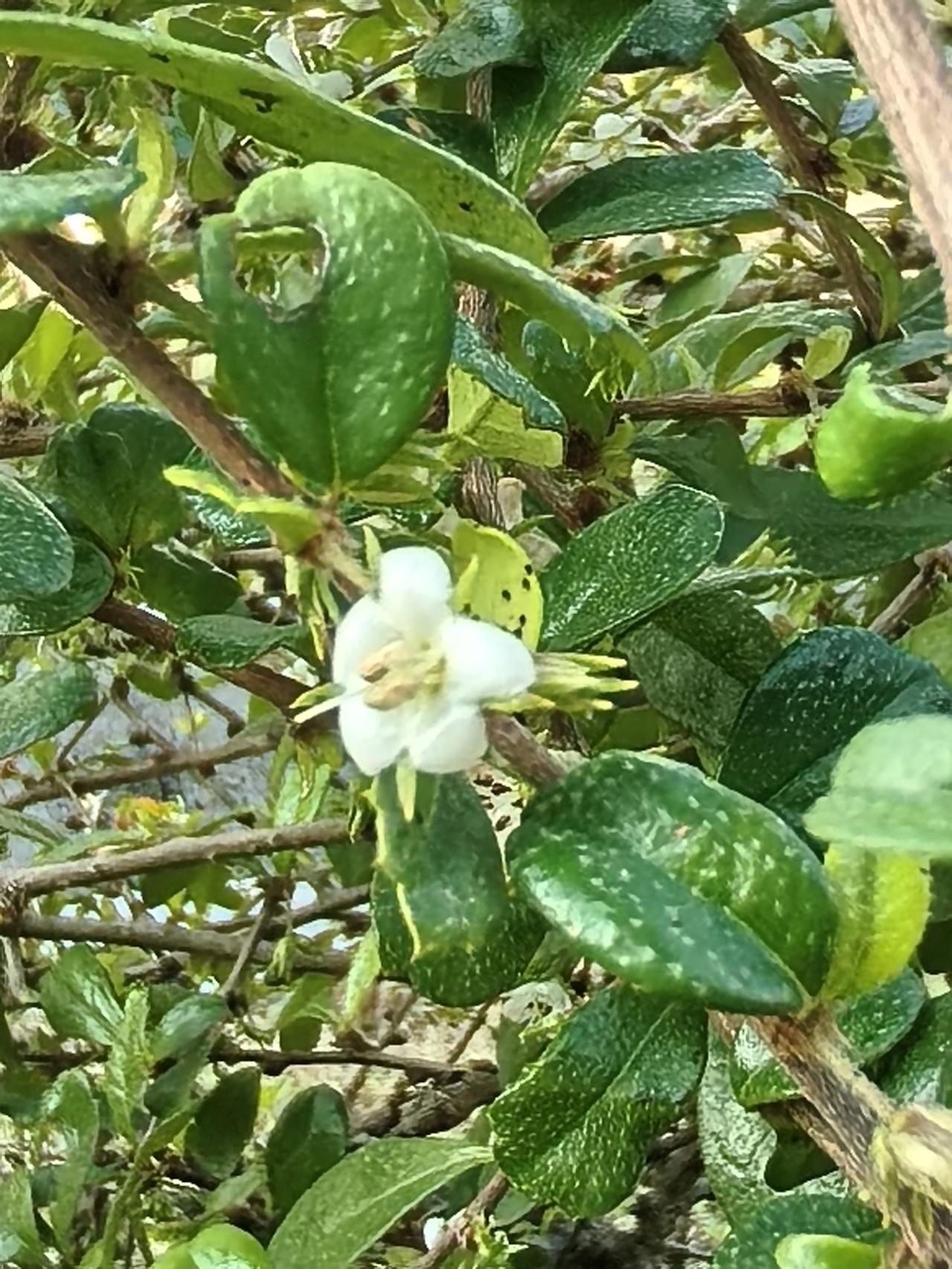 50岁了，退休金只能领1000来块，要怎么办？
从今年年初开始，我就在焦虑这个问