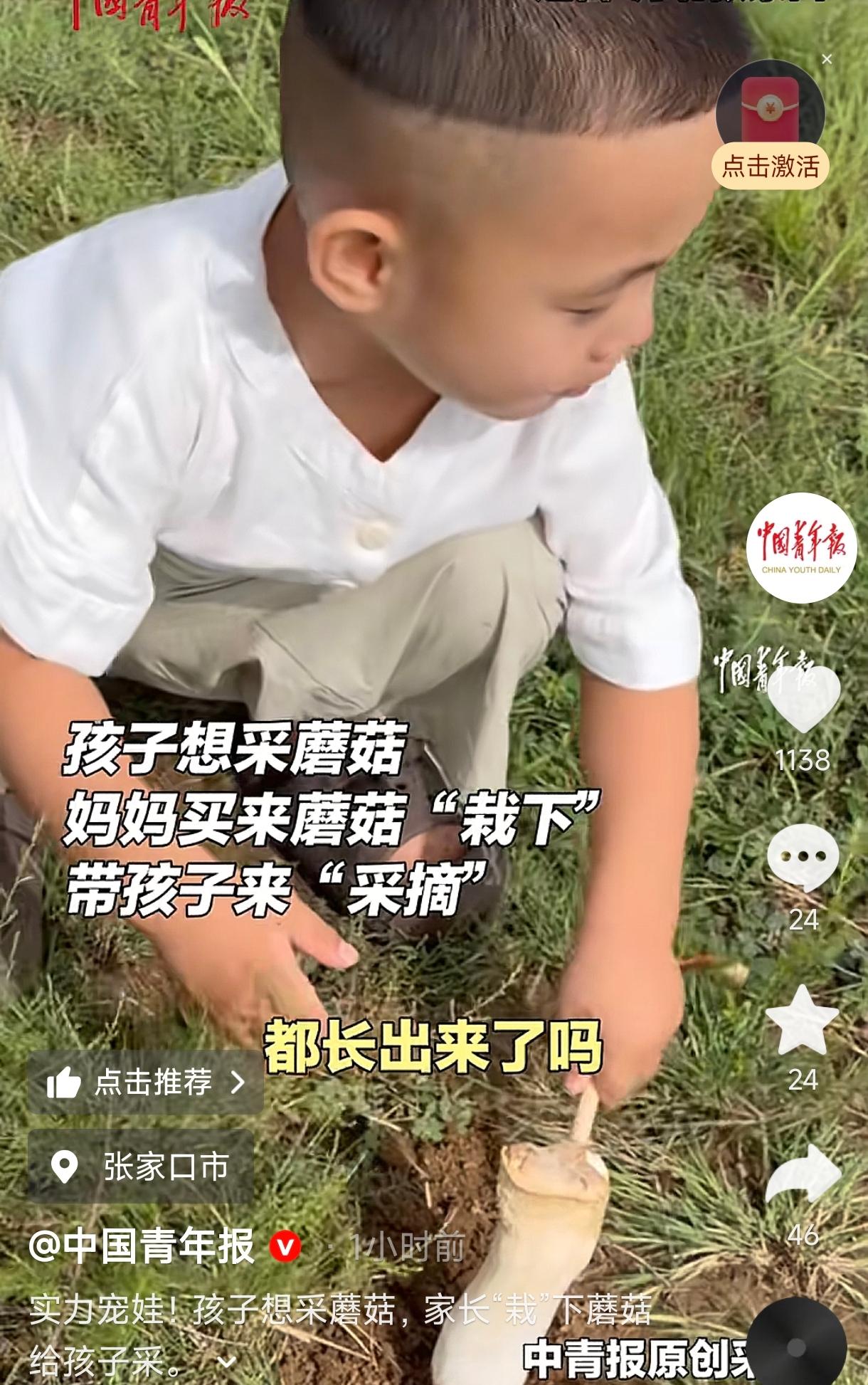 人怎么这么聪明！河北张家口，一女子的儿子心心念念想去采蘑菇，可本地根本找不到蘑菇