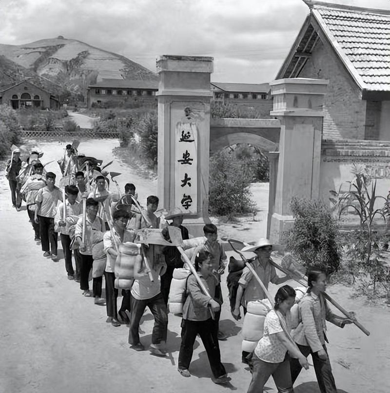 你当年最想考的大学是哪所我经历过70年代的人，也没有个人经历或愿望——但若以当时