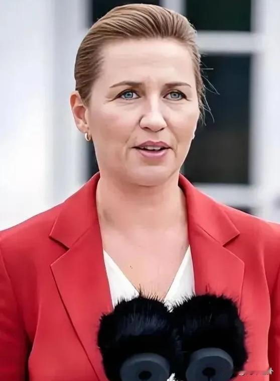 丹麦首相一句大实话，撕开西方援乌的遮羞布
 
最近丹麦首相弗雷德里克森的一番话，