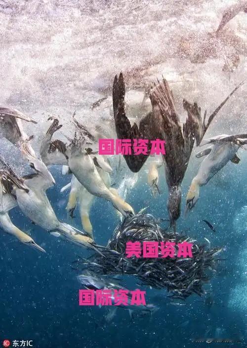 10月19日早评。A股今日又要开盘，有三件事情必讲，可能影响到本周A股走势。
