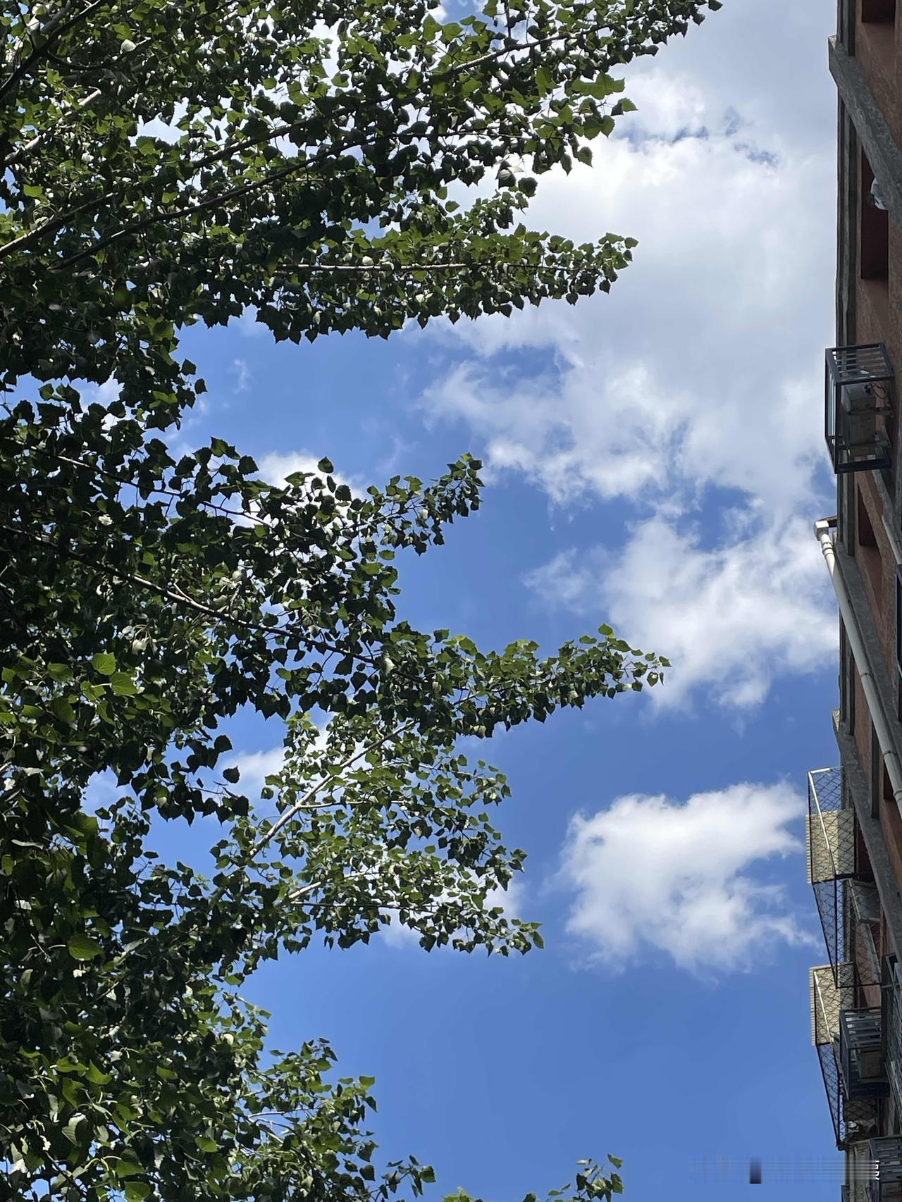 分享一张相册里随手拍的天空中午从拾九餐厅用餐归来，忽然想起头条常征集天空照片。抬