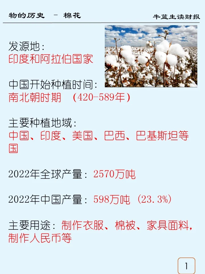 物的历史 | 11 棉花