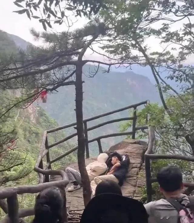 日出都看完了
这两货还没醒！[捂脸]