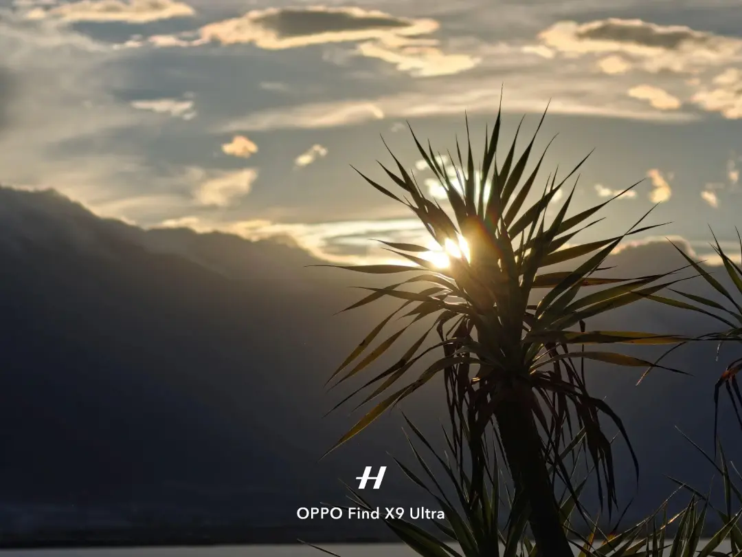 OPPO拍照｜随手一拍，就拍出大片的感觉！
