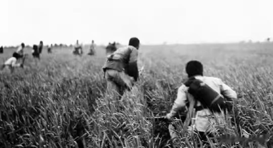 抗日义勇大队水乡激战汪伪匪军

1941年10月17日，广东顺德西海发生了珠江三