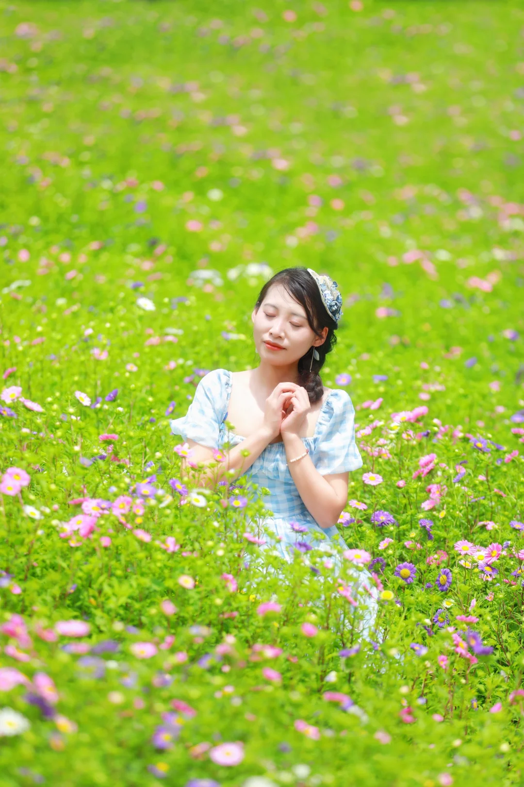 报‼️福州花海公园又有翠菊了‼️