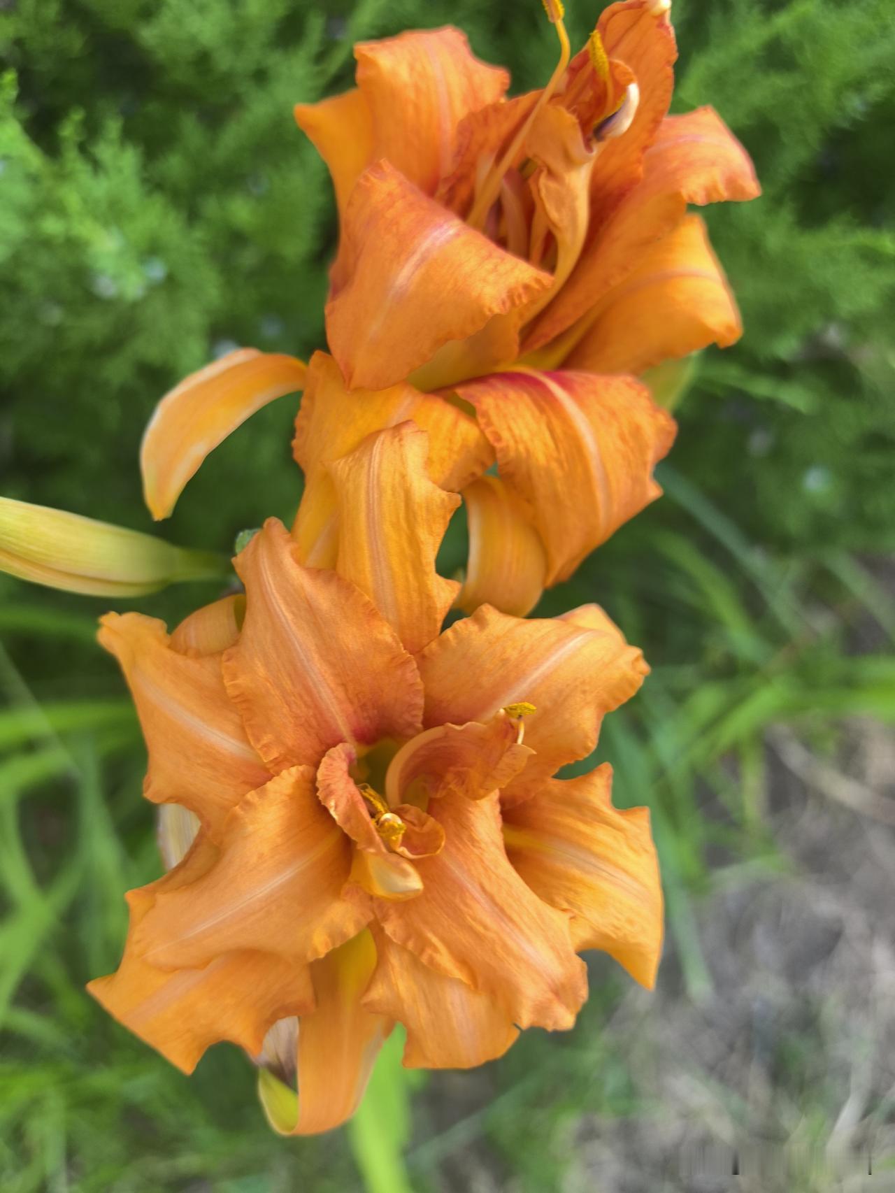 夏日生活打卡季慢下来拥抱假日时光，清风相伴，闲看云卷云舒。三餐烟火，心安自在，平