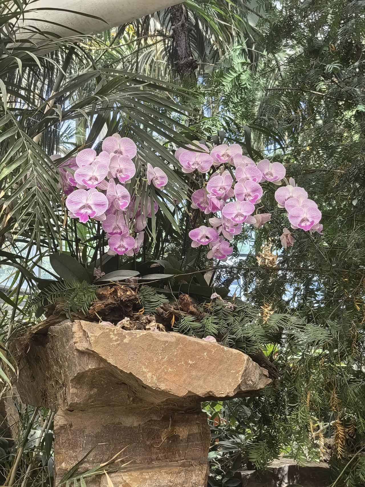 从北京回阳泉选高铁还是城际？这样说吧，如果你追求快捷高效，经济预算充足，就乘高铁