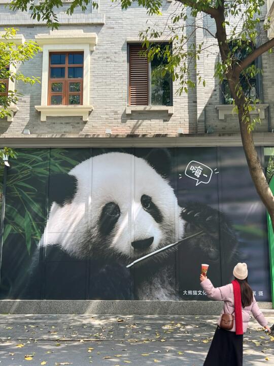 本以为春熙路已很好逛了.....直到去了.....