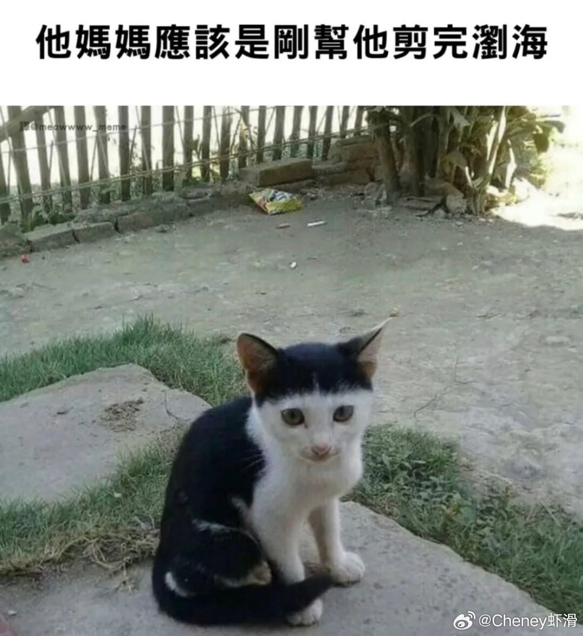 咪咪你刘海哪剪的？ 