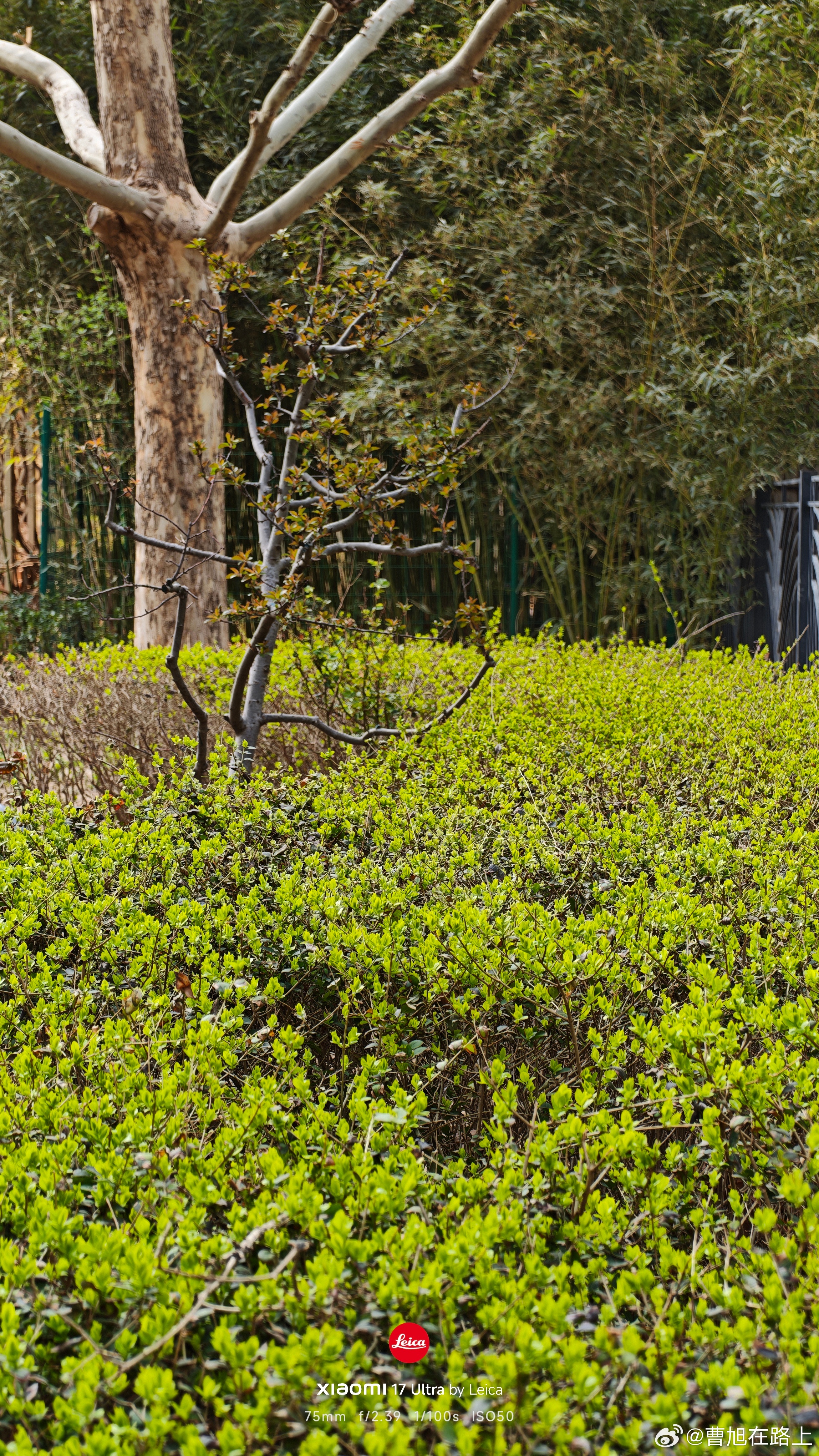 花花草草努力的日常 