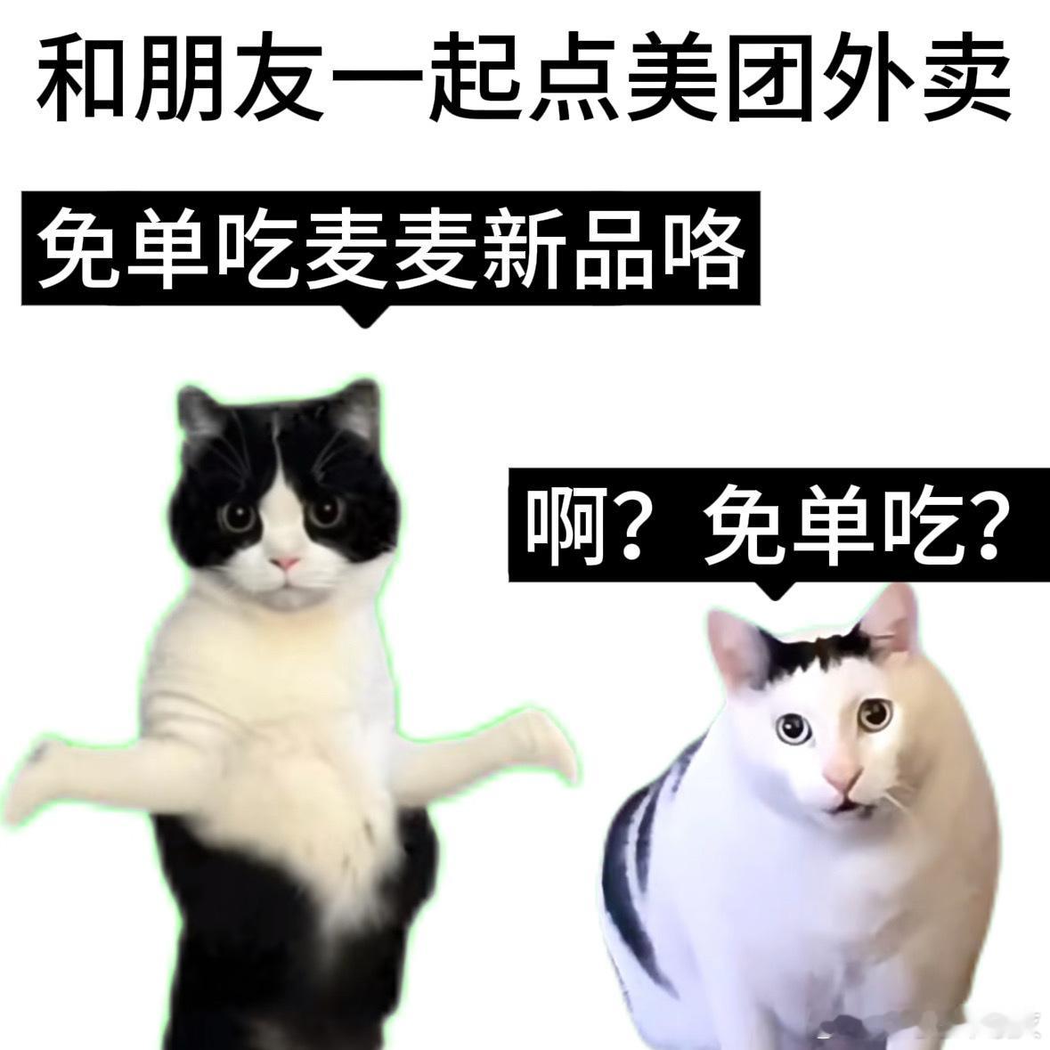 美团外卖麦当劳请你吃新品 九年如一，宠粉加倍！12月9日麦当劳在美团外卖发券啦，