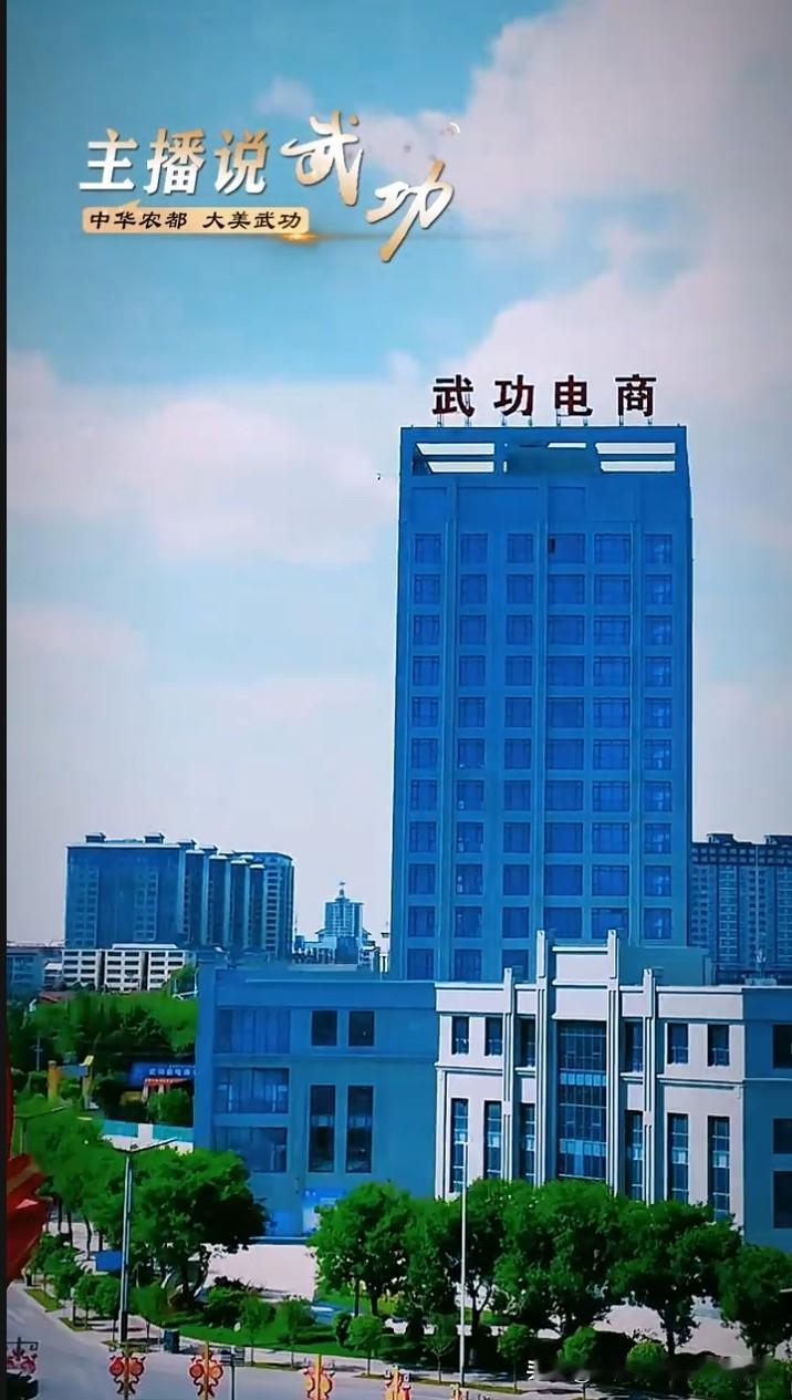 从西北小县到电商强县！武功2025年交易额达131.7亿，实现从“买全球”到“卖