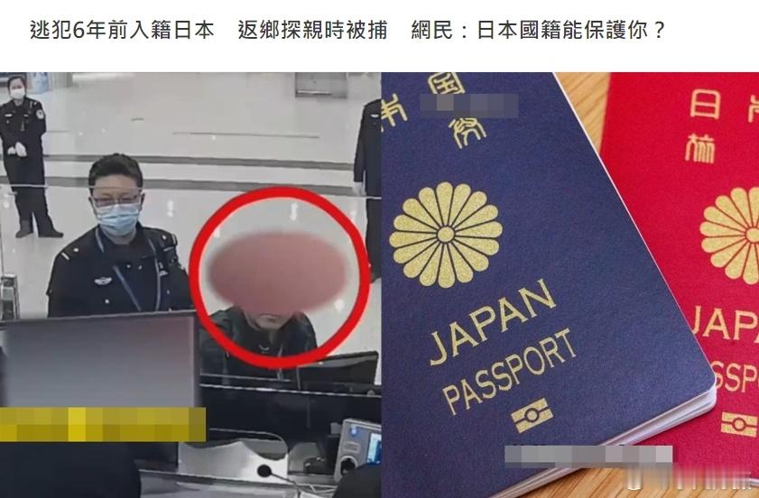 网友：我真的笑死，以为日本国籍能保护你？一只6年前加入日本国籍的中国逃犯，日前回