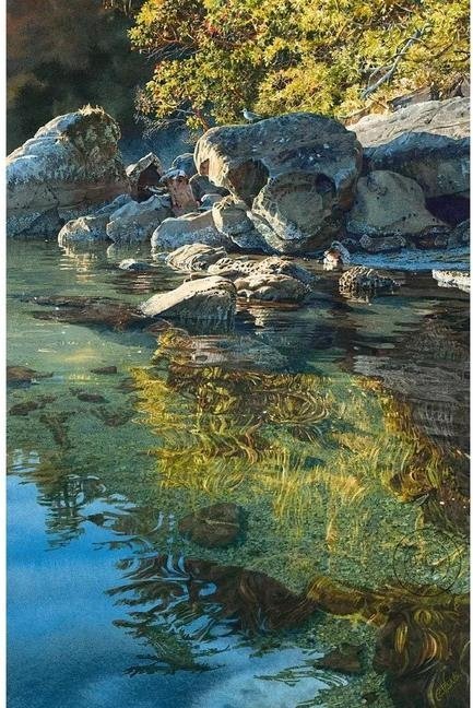 画家卡罗尔·埃文斯绘画作品欣赏风景遇见艺术遇见美好 ​​​