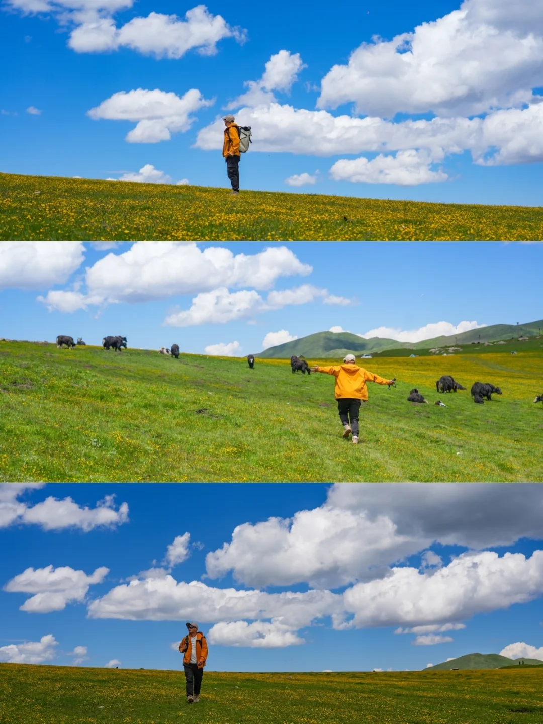 青海王者归来,这条小众环线人少景美!