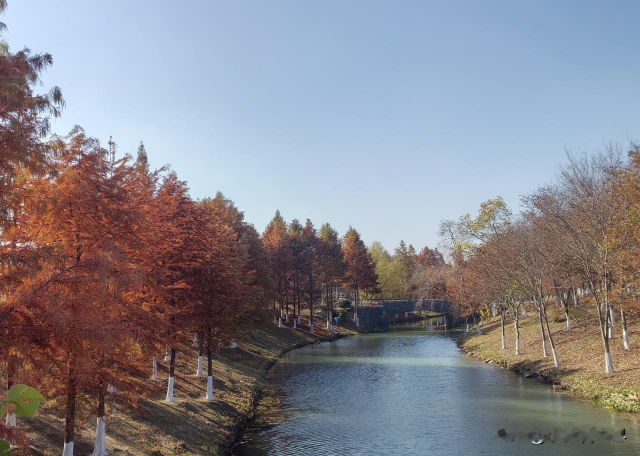 今天降温了，冷风飕飕的，但有大太阳，所以决定去森林公园看看。

常州地铁1号线终