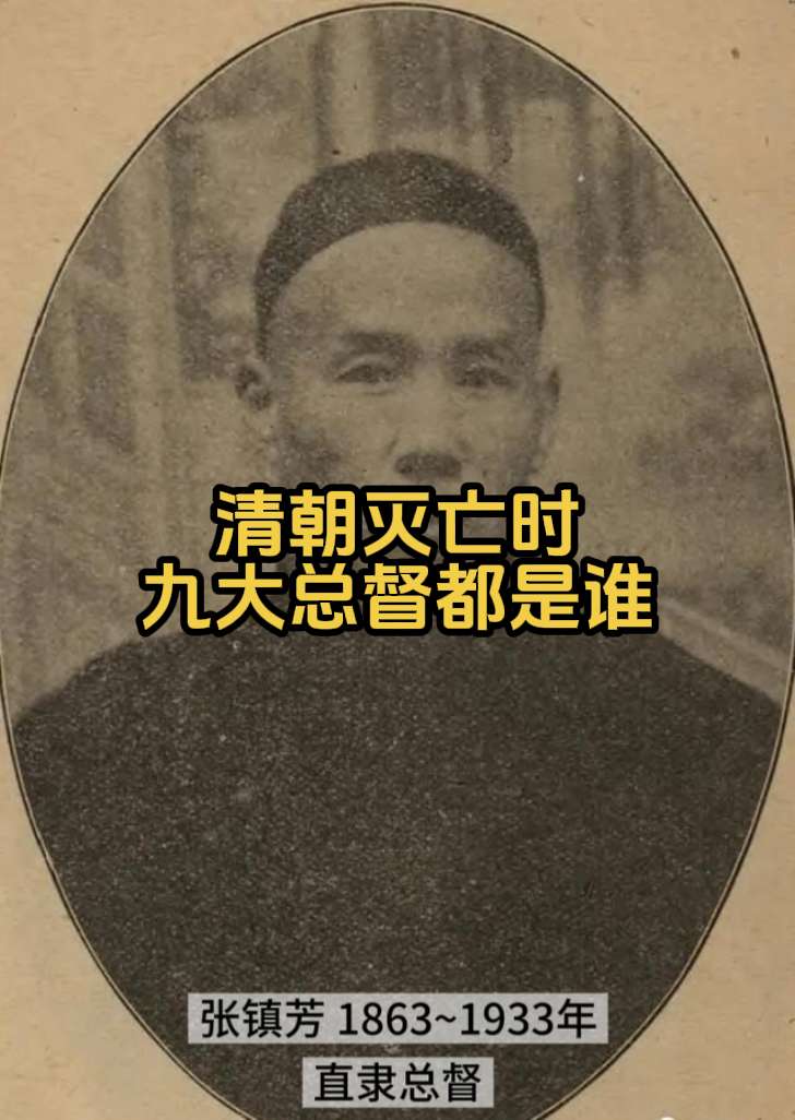 清朝灭亡时的九大总督结局如何？直隶总督：张镇芳 结局：支持袁世凯复辟...