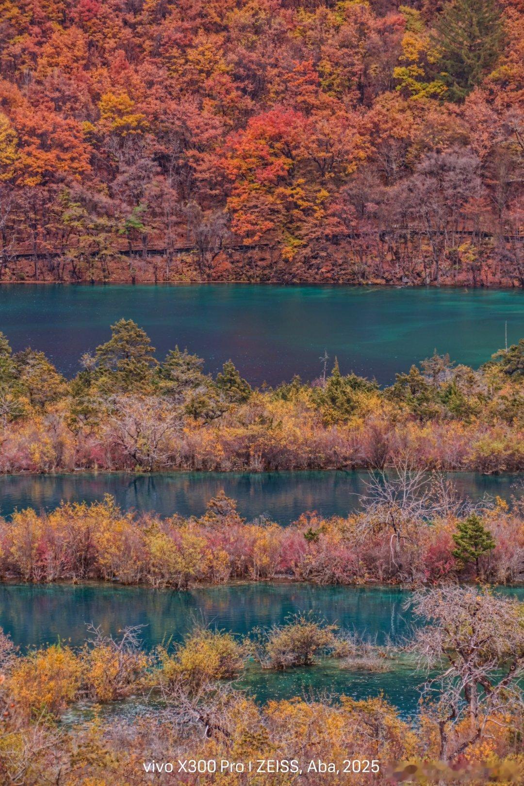 海尔空调把大自然好空气搬回家 在看直播作为常年在路上的旅行博主，我最贪恋旅途中山
