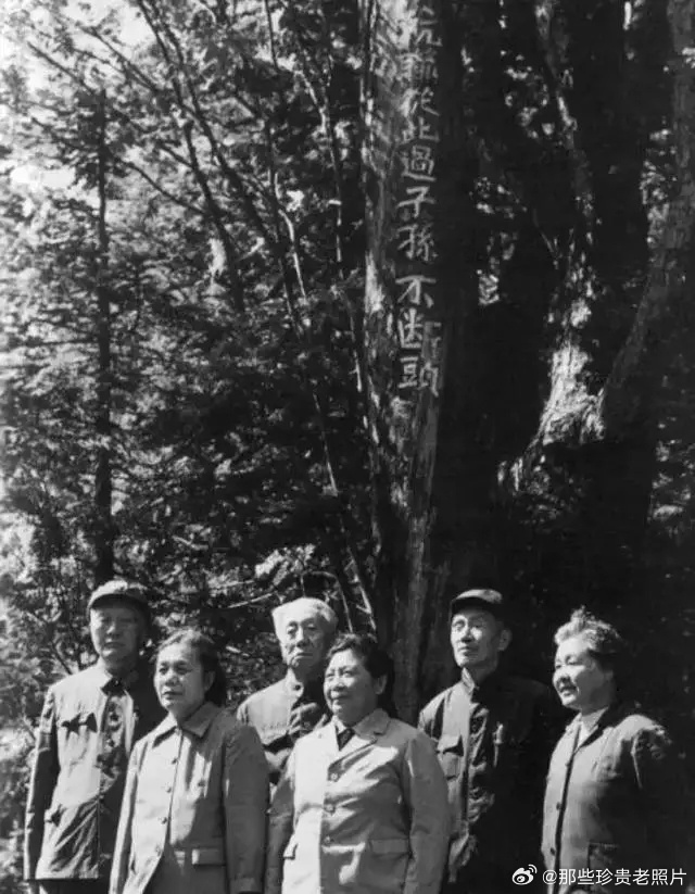 918事变后，日军占领东北，广大东北人民加入抗联，在极端困苦的条件下和侵略者做斗