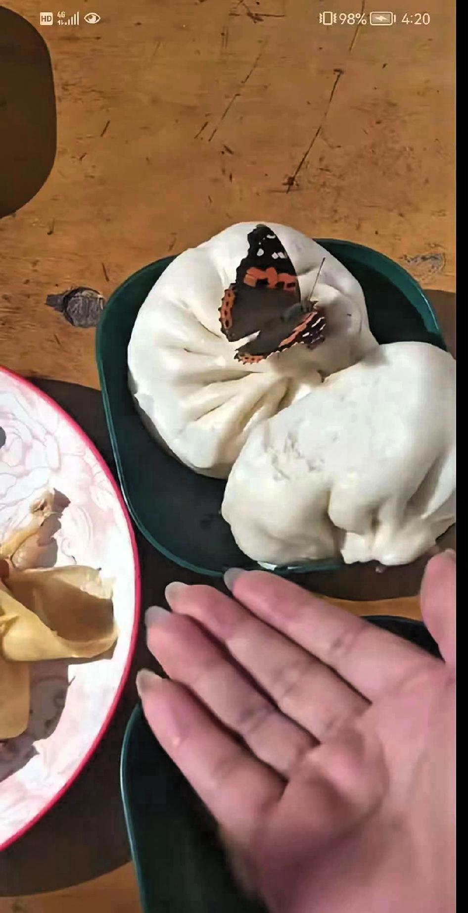 泪目！妻子刚给去世的丈夫烧完三七纸回来，正准备吃饭，忽然一只蝴蝶飞进屋来，落在菜