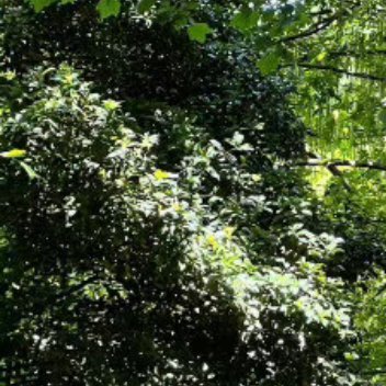 每日一善  每日一善   阳光信用 学会不为过程的缓慢而焦虑，即使暂时未能如你所