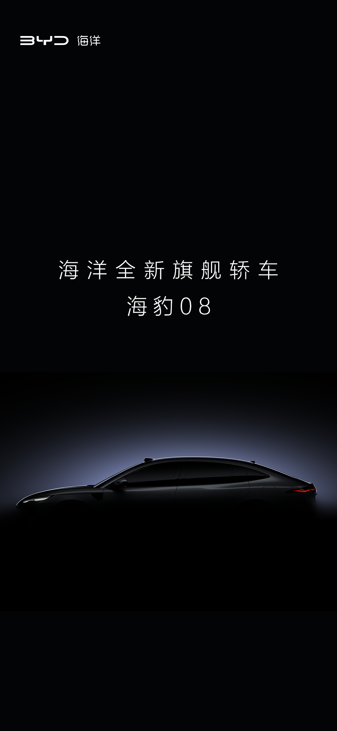 车若初见 比亚迪海洋网双旗舰已就位，海豹08定位大型旗舰轿车，海狮08定位为大型