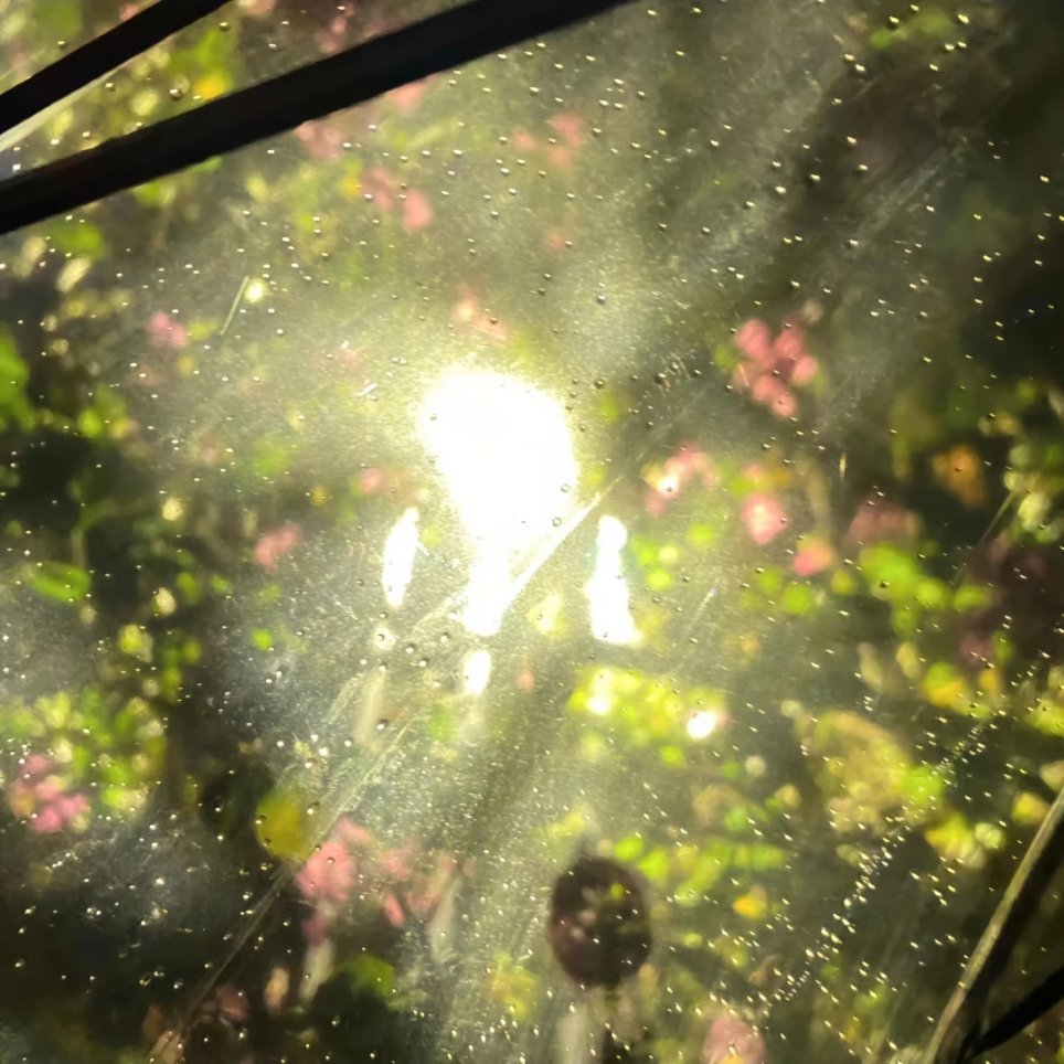 我想，人生是可以慢半拍，再慢半拍的。生命的钟表不能一味的往前拔，要习惯自己的生活