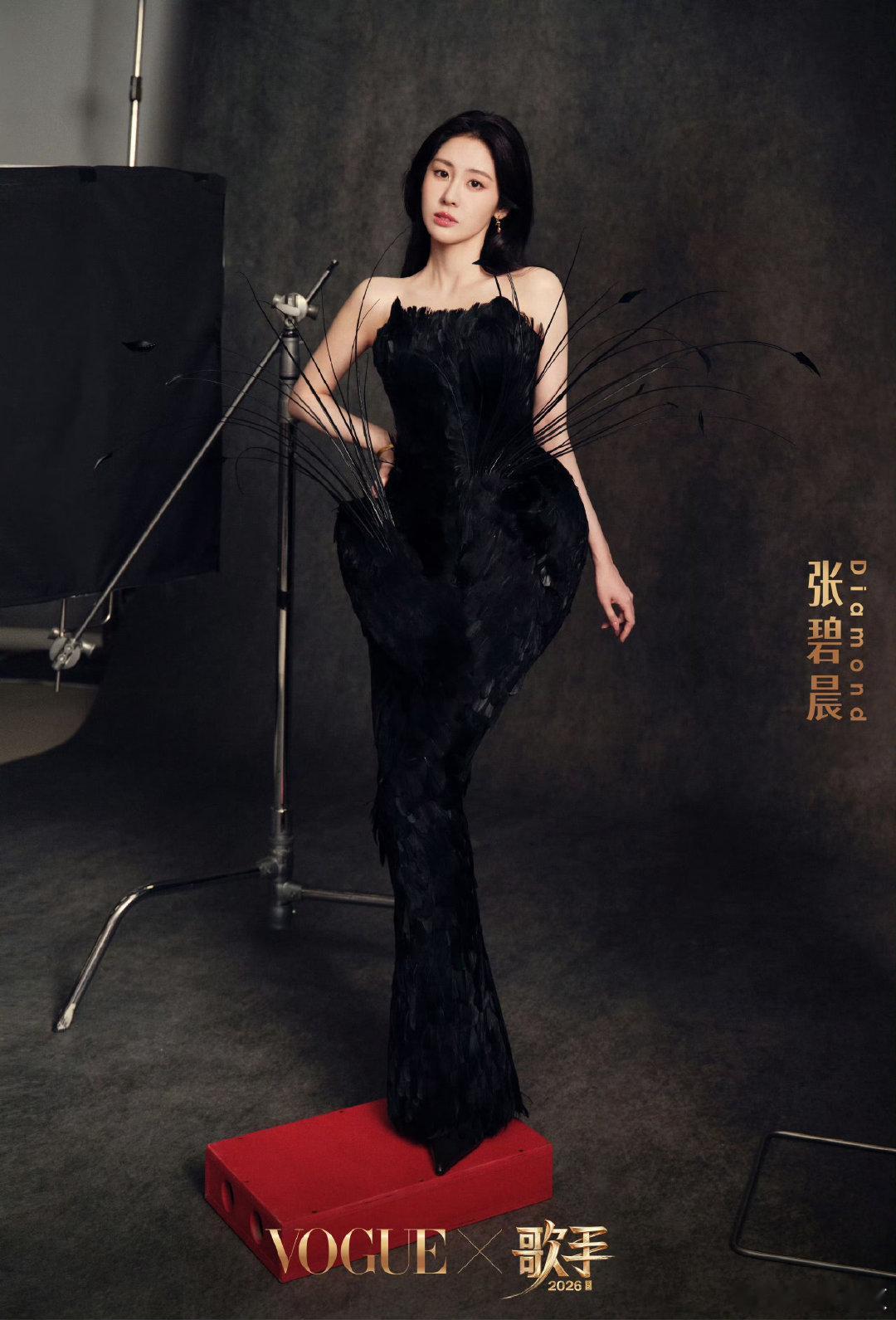 歌手VOGUE大片实力派歌手搭配顶级时尚刊物强强联手，双向加持之下产出的作品自然