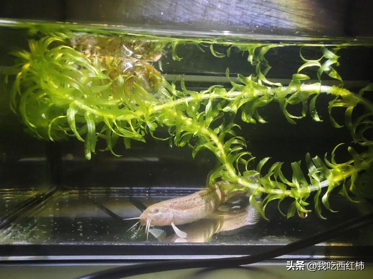 普通人一年必做一次的基础医学检查清单
张雪峰老师的事情真的很令人难过，希望大家可