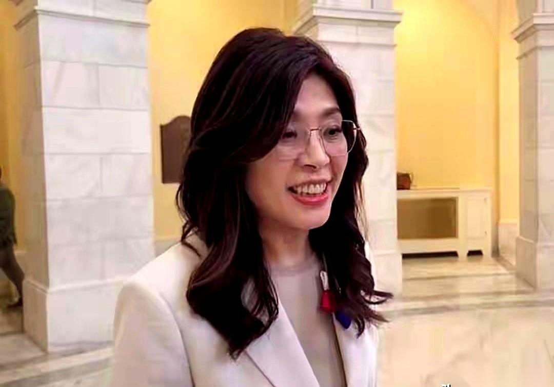 华府国会山庄的走廊里，人声嘈杂，镁光灯闪烁。
一只话筒直挺挺地伸到她面前，紧接着