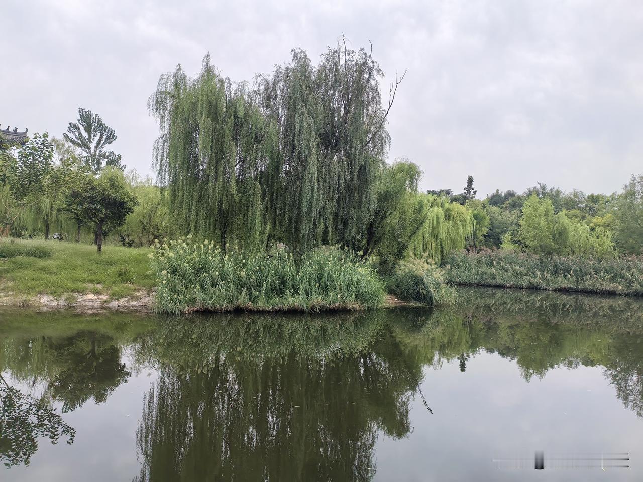 秋雨过后再添凉
季节转换温度降
不冷不热气候爽
锻炼身体当自强
自律知足增健康