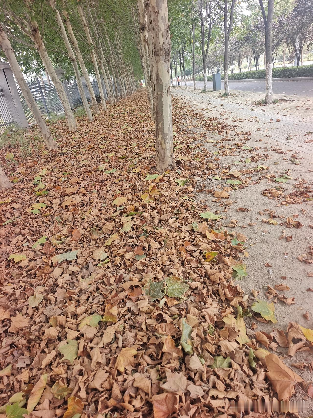 虽说彩票不是骗人的，按照中奖概率比骗人更加高明。

骗人有两种可能：被骗和不被骗