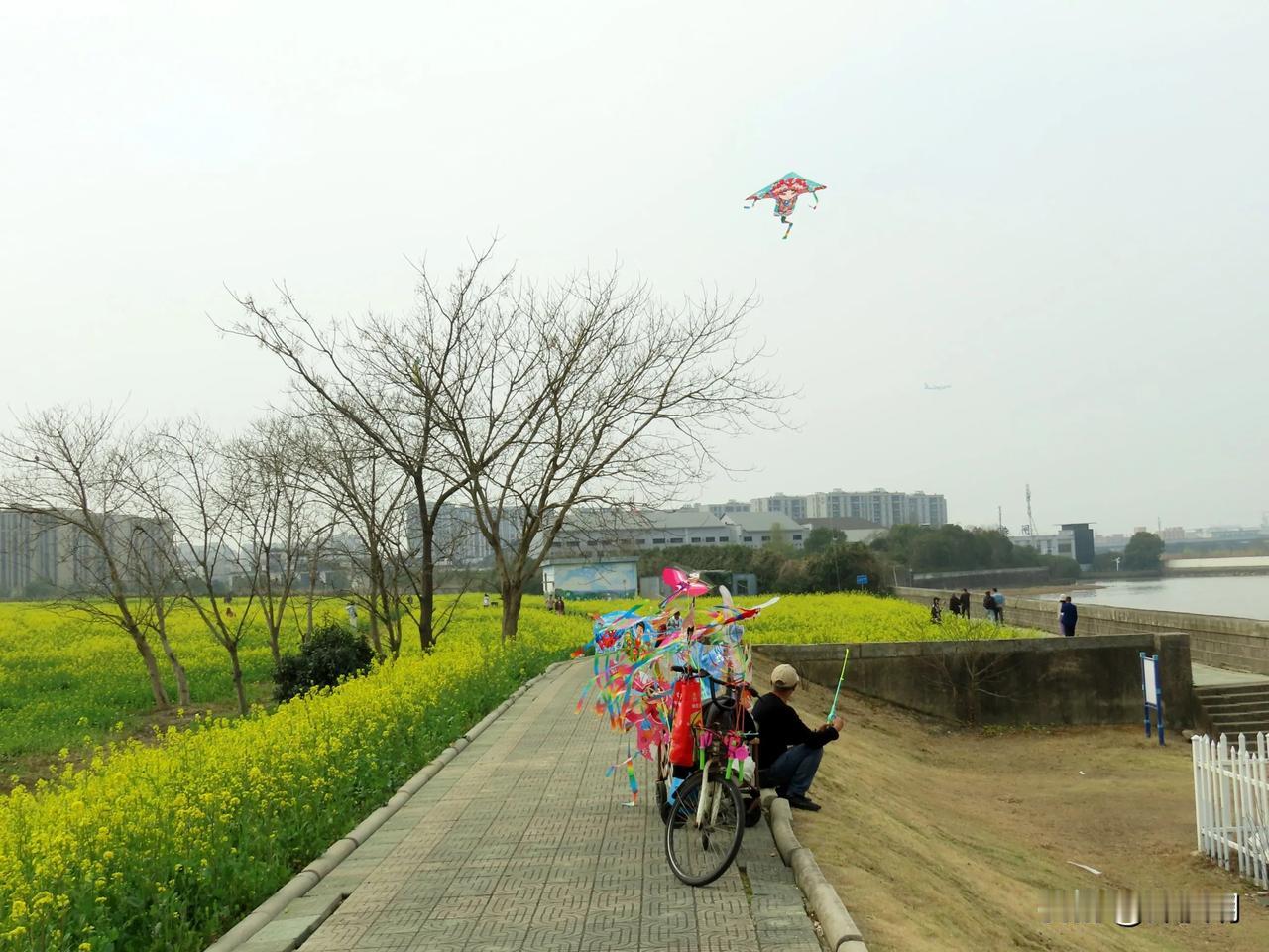 花间放纸鸢，童趣满人间。