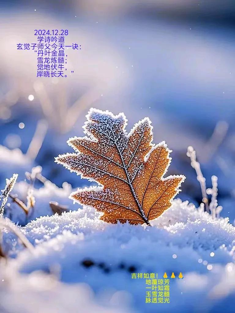 2024.12.28炒股秘诀平衡的道理
学诗吟道
玄觉子师父今天一诀：
“丹叶金