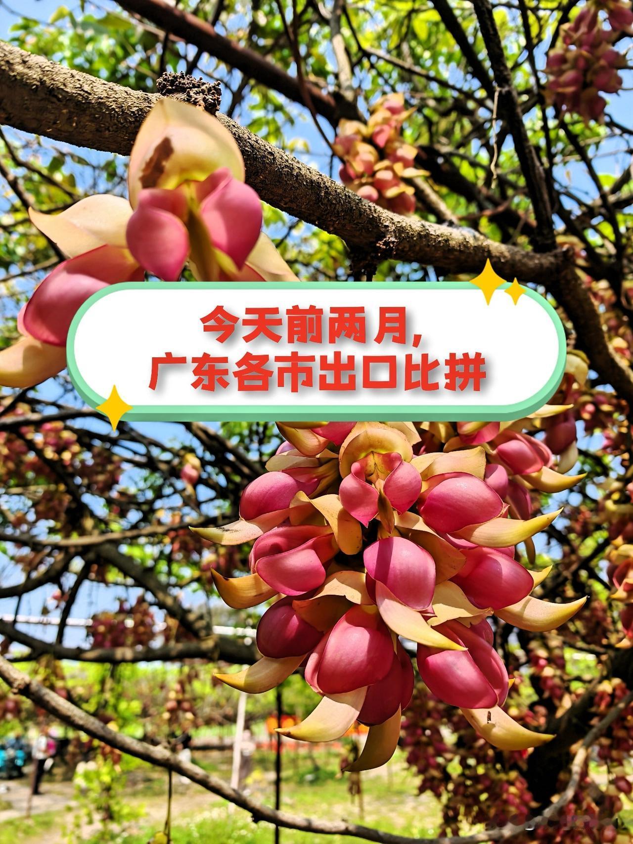 1 - 2月，广东各市外贸出口成绩斐然，全省（缺3市）出口平均增幅达22.6％。