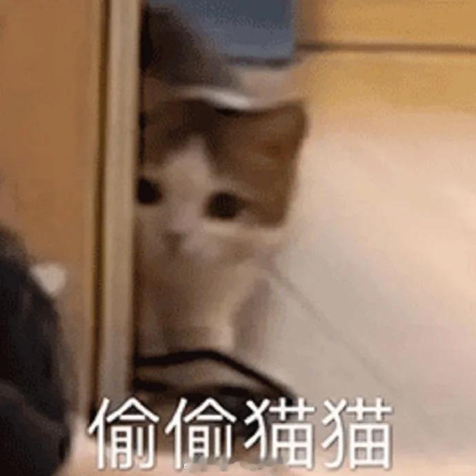 想看你们加购了哪款