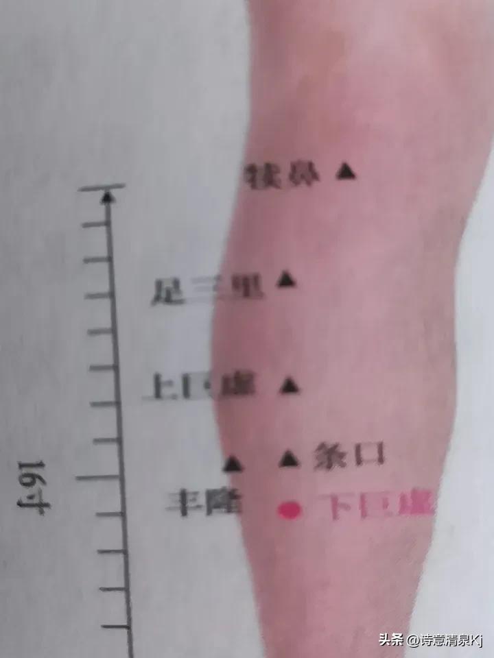 足三里穴位能不能天天按摩，得看情况。足三里可是个“明星穴位”，有调理脾胃、补中益