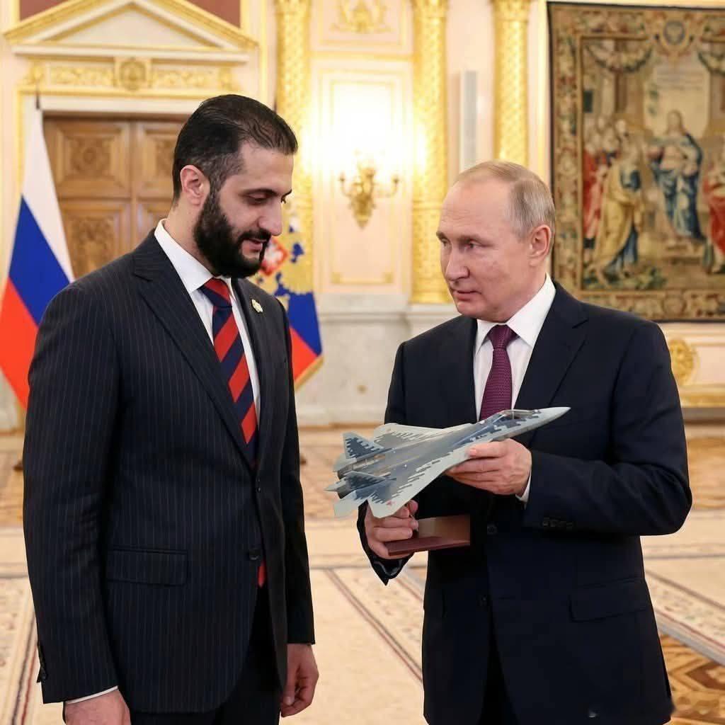 牢猪，它曾经瞄准过你叙利亚局势进展