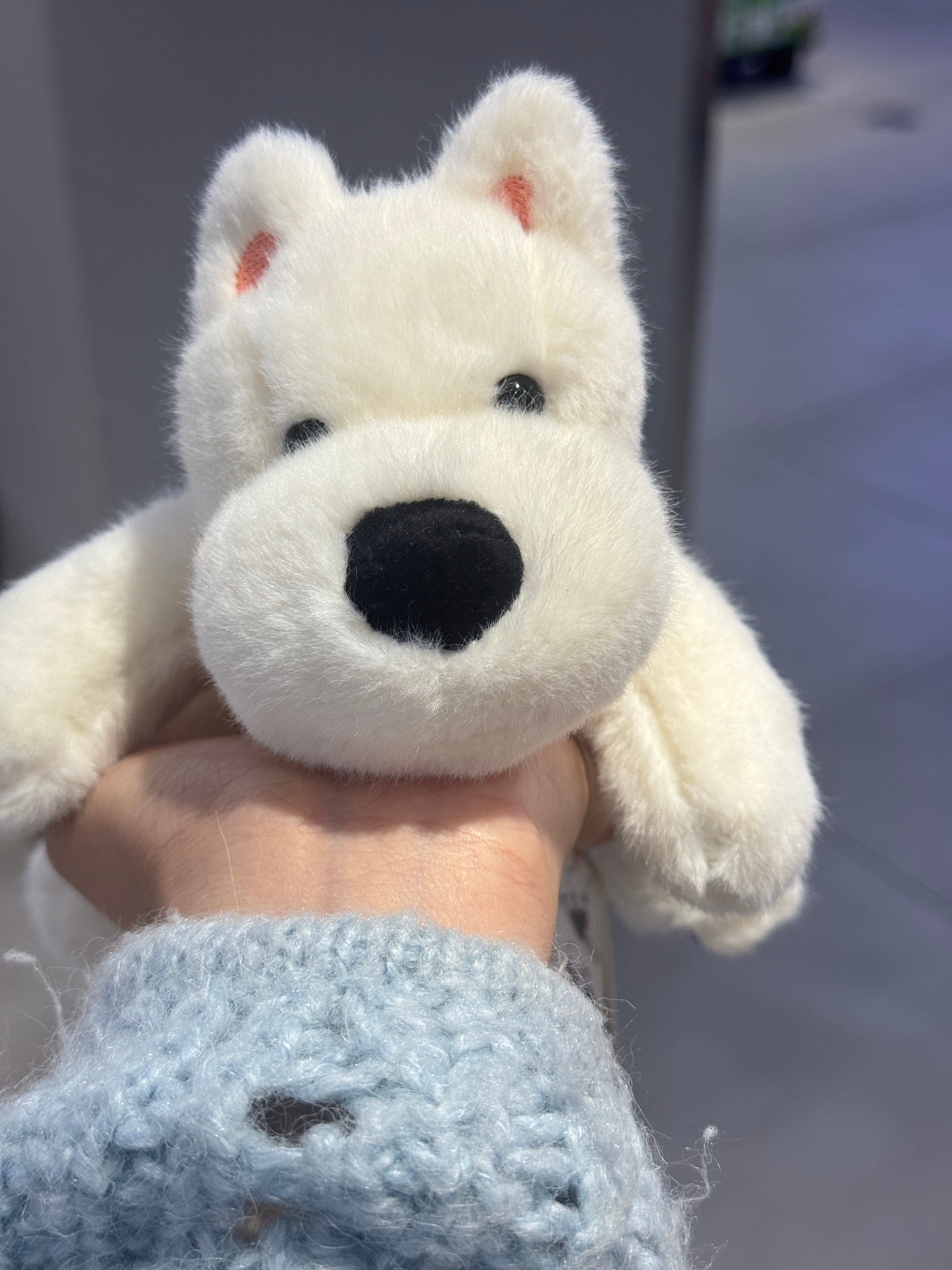 立冬后要调整一下起床时间如果早上没有工作，我一般都会在被窝里躺着玩手机看看电影解