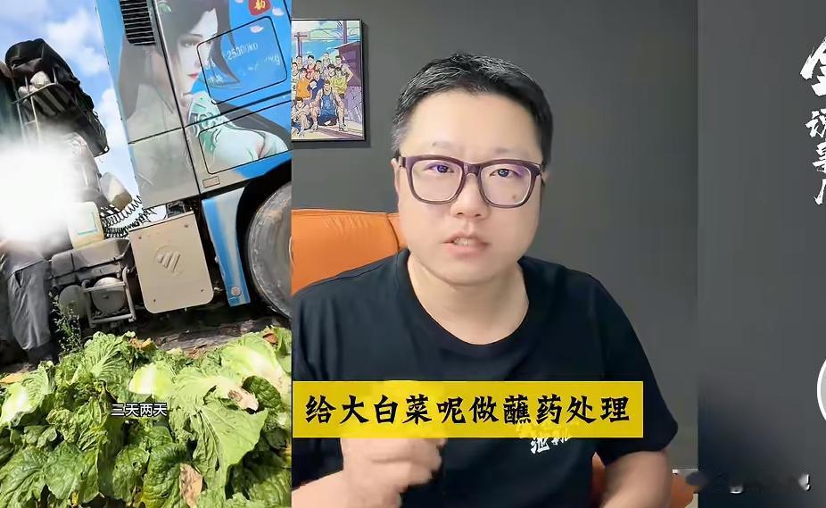 这下，坝上康保的大白菜不烂在地里才怪，粮食蔬菜安全事关人民身体健康，管不好就是在