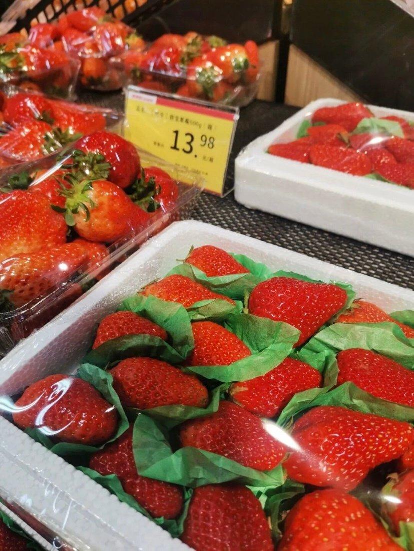 草莓价格大大大跳水！10元一盆实现水果自由
 
春节前还几十元一斤的草莓，如今价